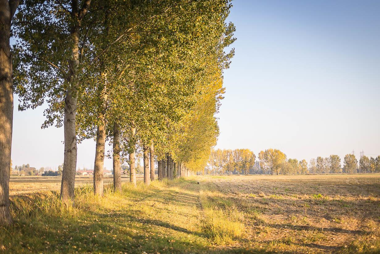 Cascina Gaggioli Villa Milaan Buitenkant foto